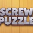 Screw Puzzle image